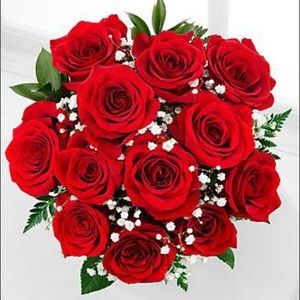 Meet your Posher, Anire